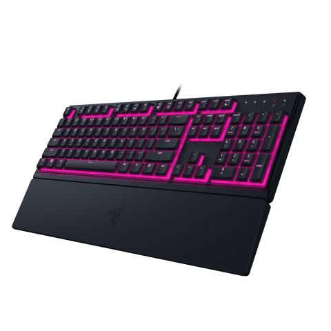 RAZER ORNATA V3X